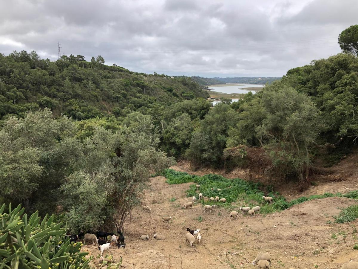 Herdade Do Freixial - Turismo Rural Vila Nova de Milfontes Extérieur photo